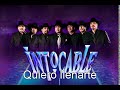 Quiero llenarte - Intocable