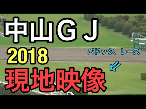 2018.4.14.中山11R.中山ＧＪ.パドック、レース現地映像