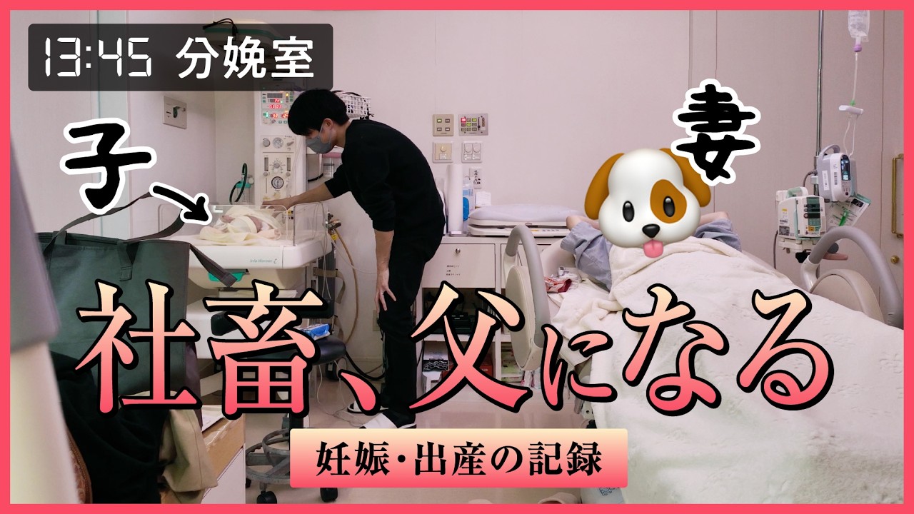 社畜、父になる。【妊娠〜出産までの10ヶ月の記録】
