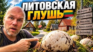 Литва, которую не показывают туристам: глушь, бункер и гриб-гигант 🇱🇹😳