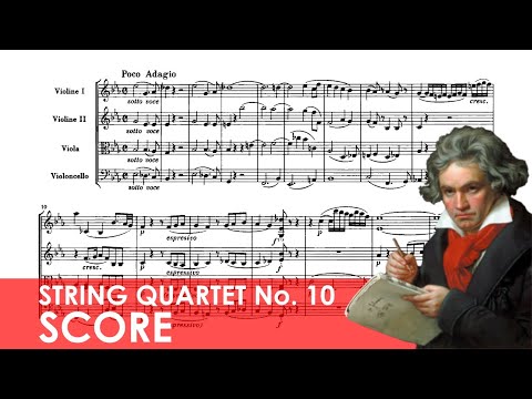 BEETHOVEN String Quartet No. 10 in E-flat major (Op. 74) 'Harp' Score