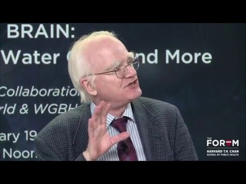 Chemical Regulation: Highlight from Chemicals and the Brain