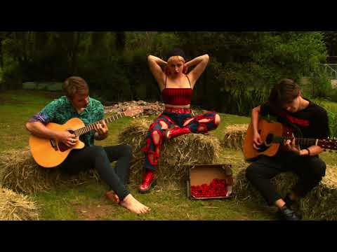 The Sticky Hickies - Dandy Lions (acoustic)