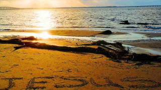 A Love Like This Robert Stearns