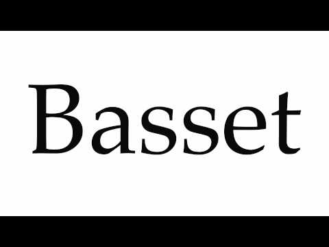 How to Pronounce Basset
