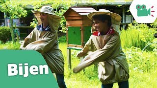 SWISH SWISH IN EEN BIJENPAK!  -  Baas van het journaal - Kinderen voor Kinderen