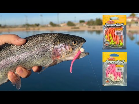 Berkley Mice Tails SLAY Stocked Trout! (2 Methods to Use)