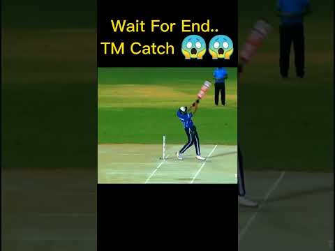 TM Brand Catch ???????? | tape ball cricket | #shorts