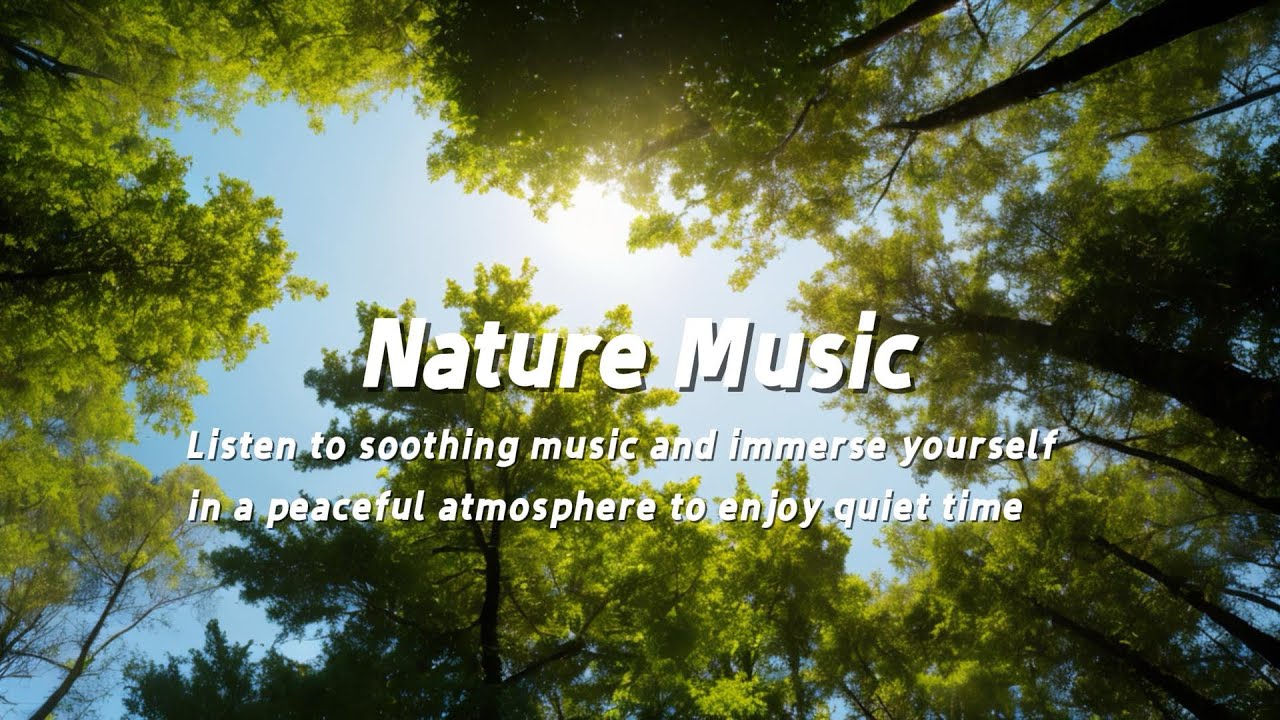 Listen to soothing music and immerse yourself in a peaceful atmosphere to enjoy quiet time