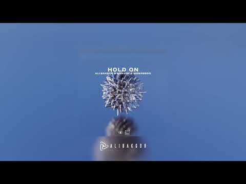 Ali Bakgor & biskuwi & widerberg - Hold On