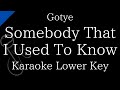 Karaoke Instrumental Somebody That I Used To Know Gotye Lower Key
