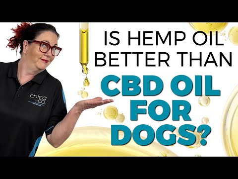 What’s difference between Hemp Oil, CBD Oil & Hemp Seed Oil for Dogs?