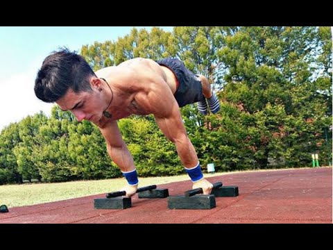 The king of MALTESE - Erik Barsi