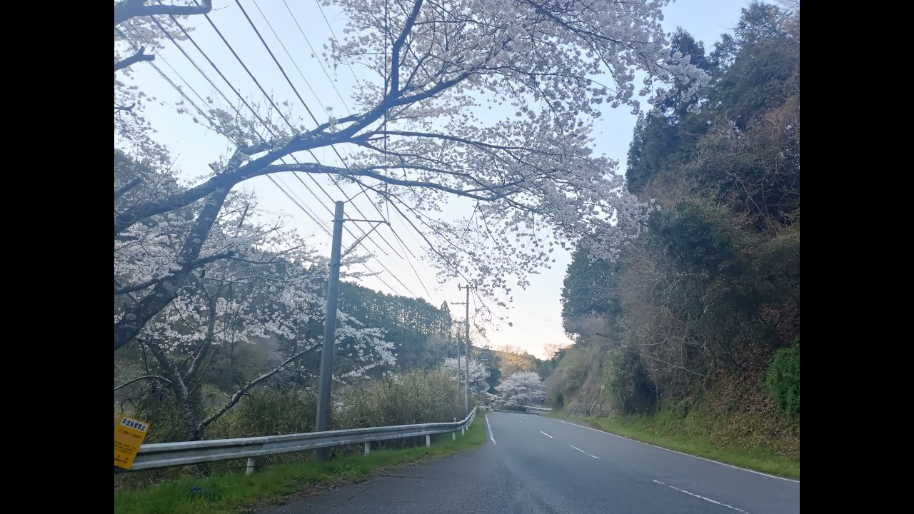 【三重→大阪】車内ライブでeBay輸出の話