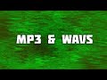 The Quality Difference Between MP3 and W The Quality Difference Between MP3 and W