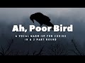 Ah, Poor Bird: Vocal Warm-up in a round!
