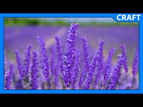 Easy DIY Lavender Tutorial | Paper Flowers | Home Decor