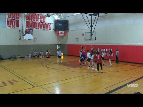 TLDR.D(41) vs TEAM HORTONS(43) - NOW*TCBL COED - tcbl 2022 summer