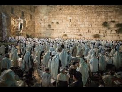 "How Bitachon for Mitzvos is Unique" Shaar Habitachon (#40)