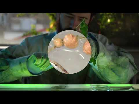 Ars Electronica Festival 2022 - Sustainability