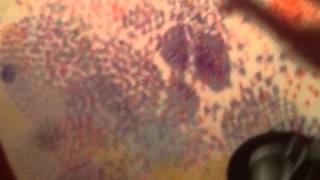 Jimi Goodwin on stage in Holmfirth