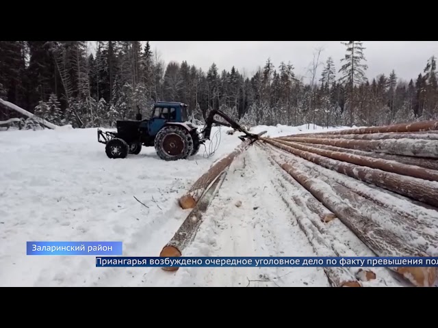 Чиновники из Минлеса отдали под вырубку молодые деревья