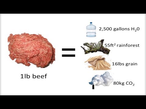 ダイエットで環境を救おう (Save the Environment with Your Diet!)