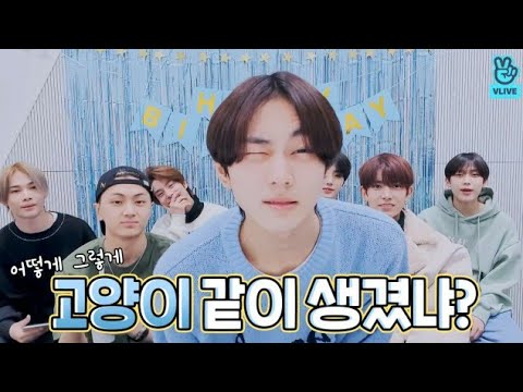 Enhypen Jungwon birthday vlive ENG sub