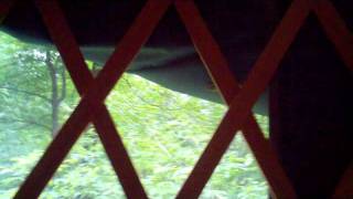 Off-Grid John: Department of Birds 6/20/2011-Unknown.