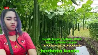 Download lagu BERBEZA KASTA #musik koplo terlaris 2020  vercy jaranan PEGON#si viral goyang Ekah ekeh# mp3