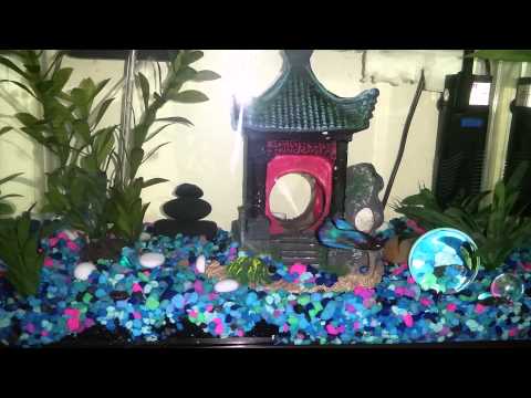 Colorful Asian theme betta fish tank