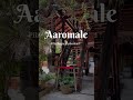 Must Visit Cafe In Hyderabad Aaromale Film Nagar Hyderabad Delectable Cravings