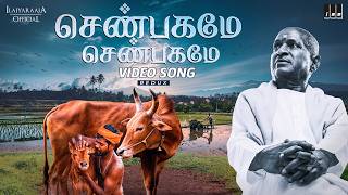 Download lagu Shenbagame Shenbagame - Video Song (Redux) | Isaignani Ilaiyaraaja | Ramarajan | Mano mp3