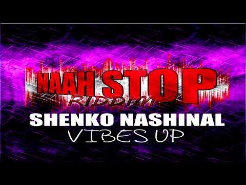 Shenko Nashinal-Vibes up - Dj Punchline