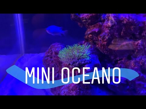 Vocês não vão acreditar!