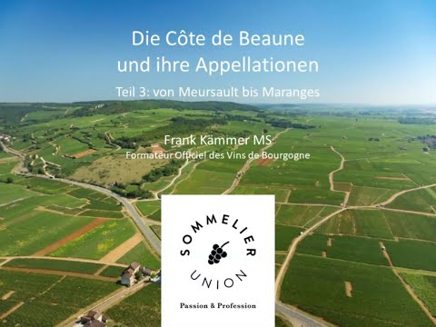 Côte de Beaune #3 – von Meursault bis Maranges