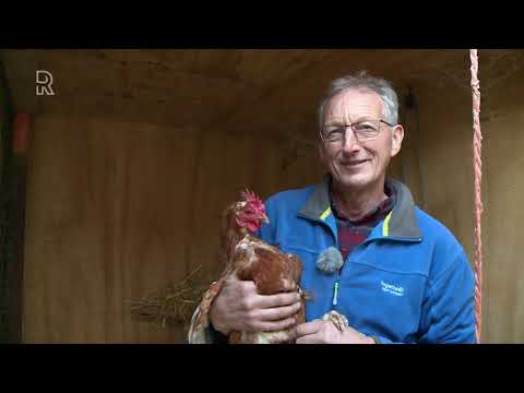 Van Eigen Bodem - op bezoek bij zorgboerderij de Molenhoeve in Streefkerk
