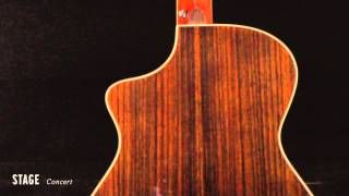 Video thumbnail for Breedlove Acoustic Guitars: Stage Concert Guitar by Breedlove Guitars