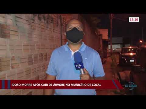 Idoso morre após cair de árvore no município de Cocal 05 01 2021