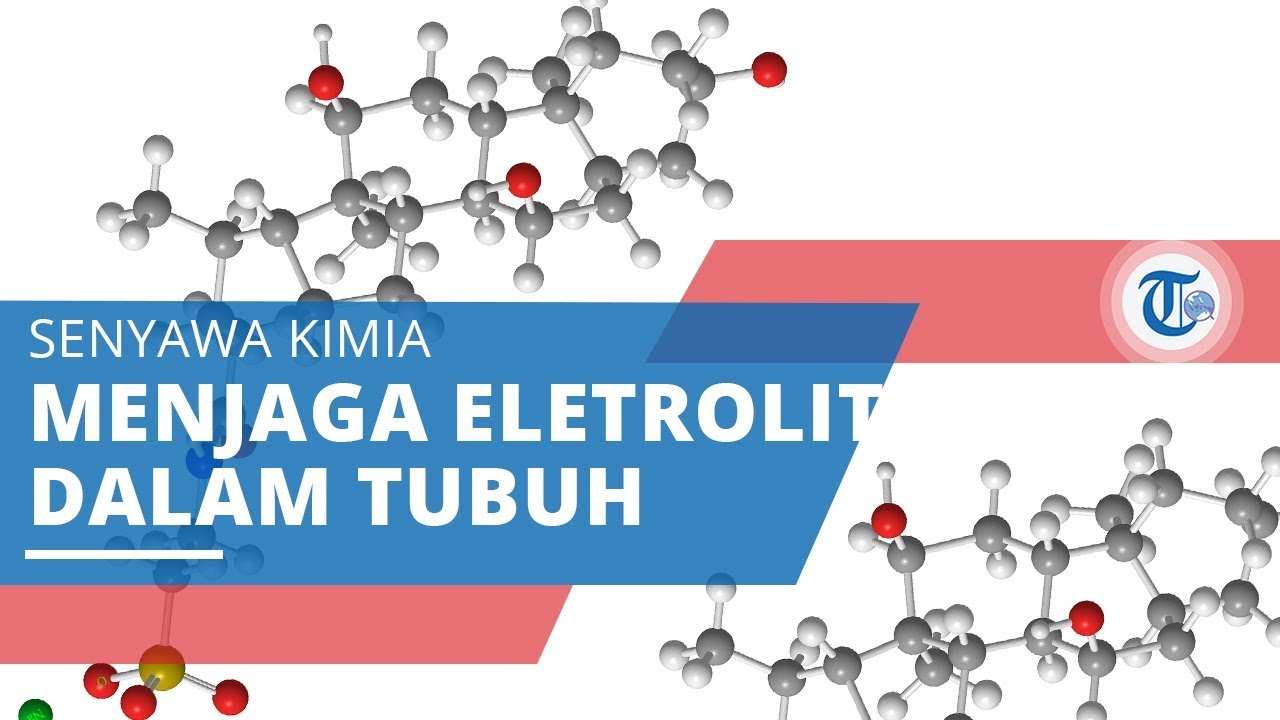 Natrium, Senyawa Kimia Menjaga Elektrolit dan Keseimbangan Cairan dalam