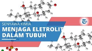 Natrium, Senyawa Kimia Menjaga Elektrolit dan Keseimbangan Cairan dalam Tubuh