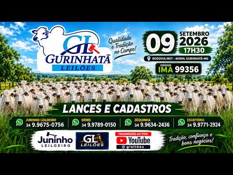 LEILÃO DE GADO - GURINHATÃ LEILÕES 09/09/2026