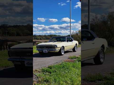 1968 Chevrolet Camaro (CC-2013666) for sale in Volo, Illinois