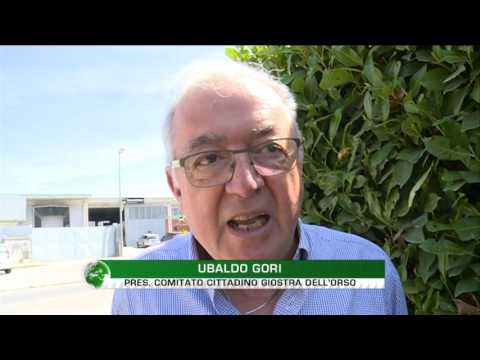 ACCORDO RAGGIUNTO PER LA GIOSTRA DELL'ORSO