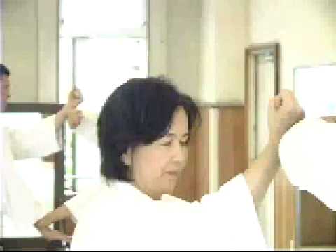 The World of Yoshinkan Aikido
