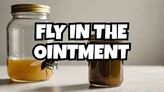 English Idiom: Fly in the Ointment - Origin, Meaning, and Examples