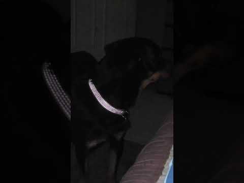 José Andrés Guerrero