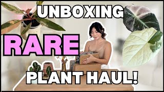 Is this EXCESSIVE? Unboxing Rare Plants ONLY! Houseplant Care Routine + Tips | Plant Chores