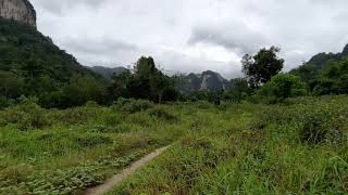 Over 16 Rai of Land for Sale in Khao Thong with Beautiful Krabi Mountain Views