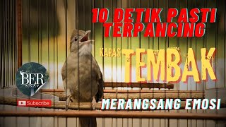 Download lagu KAPAS TEMBAK BIKIN LAWAN EMOSI LANGSUNG BUNYI !!! FULL BESETAN !! #kapastembak #kapastembakgacor mp3 Download lagu KAPAS TEMBAK BIKIN LAWAN EMOSI LANGSUNG BUNYI !!! FULL BESETAN !! #kapastembak #kapastembakgacor mp3